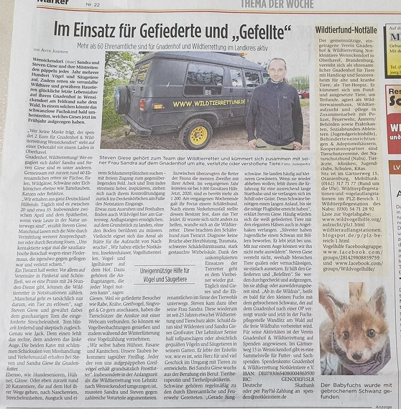 wildtiere2020 (18)