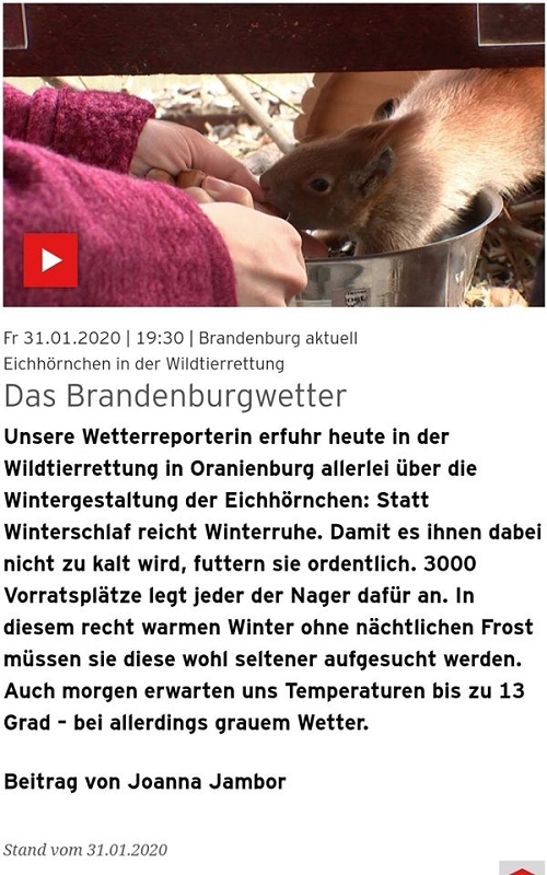 wildtiere2020 (201)