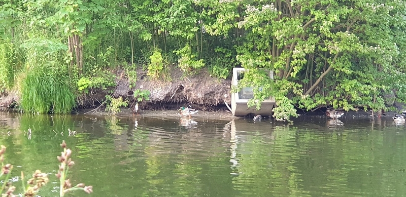 wildtiere2020 (216)