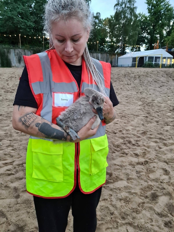 wildtiere2020 (252)