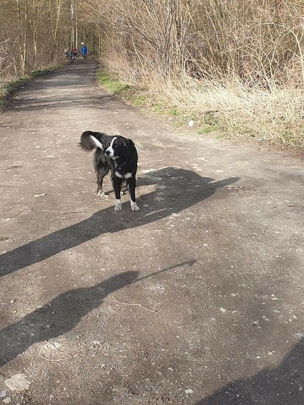wildtiere2020 (359)