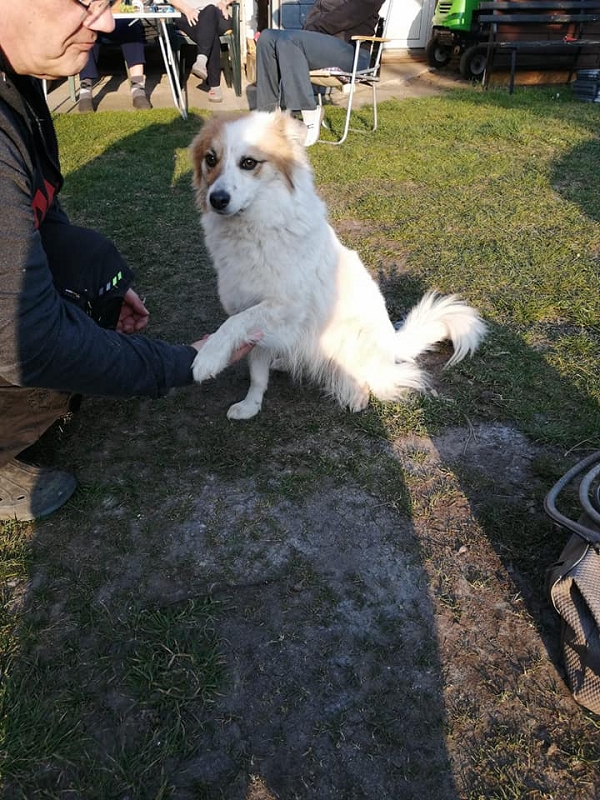 wildtiere2020 (420)
