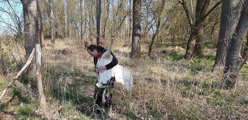 wildtiere2020 (487)