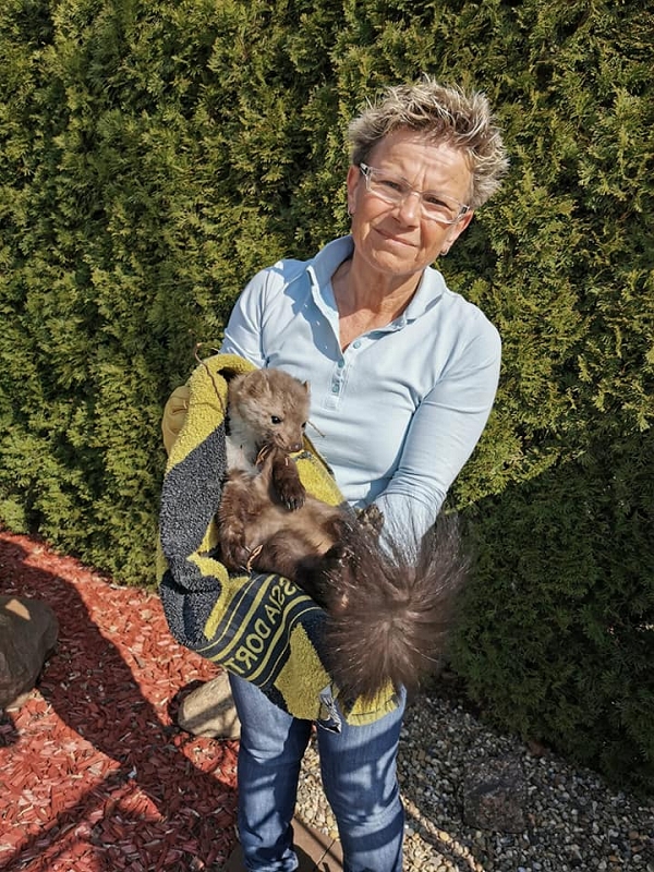 wildtiere2020 (492)