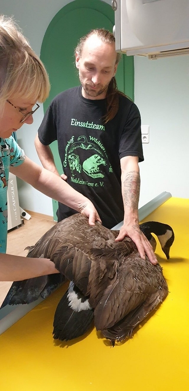 wildtierrettung20 (340)