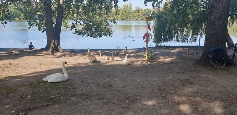 wildtierrettung20 (368)