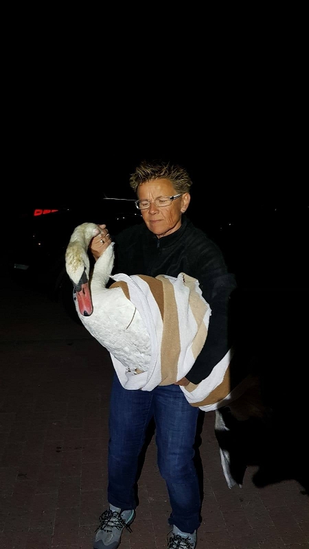 wildtierrettung20 (394)